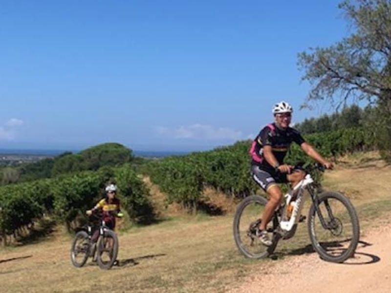 Wein- und Fahrradtour in Bolgheri mit Weinprobe