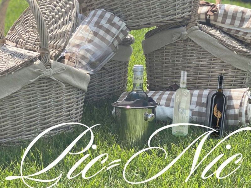 Chianti wine experience from Florence