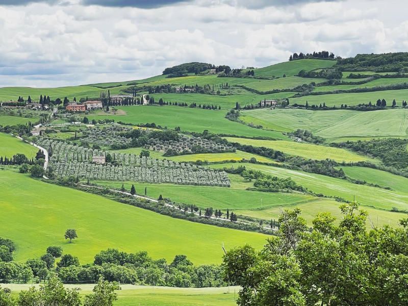 Führungen durch das Weingut Brunello di Montalcino