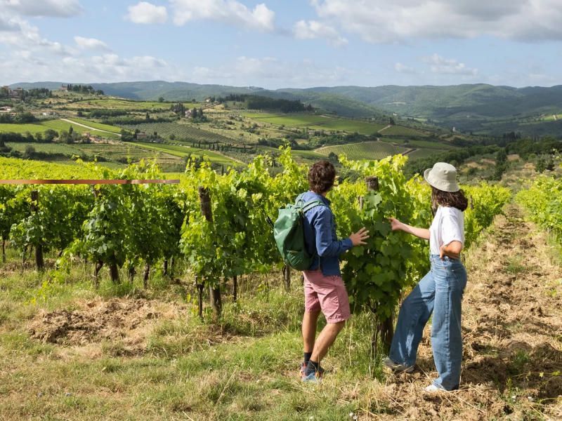 Wine & Hiking in Chianti Classico from Florence