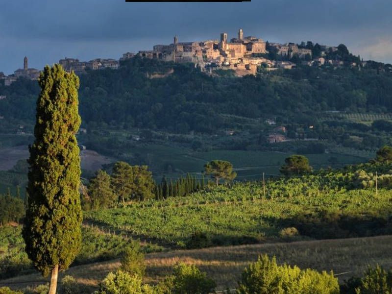 Montepulciano „Essen & Wein“-Tour und Verkostung