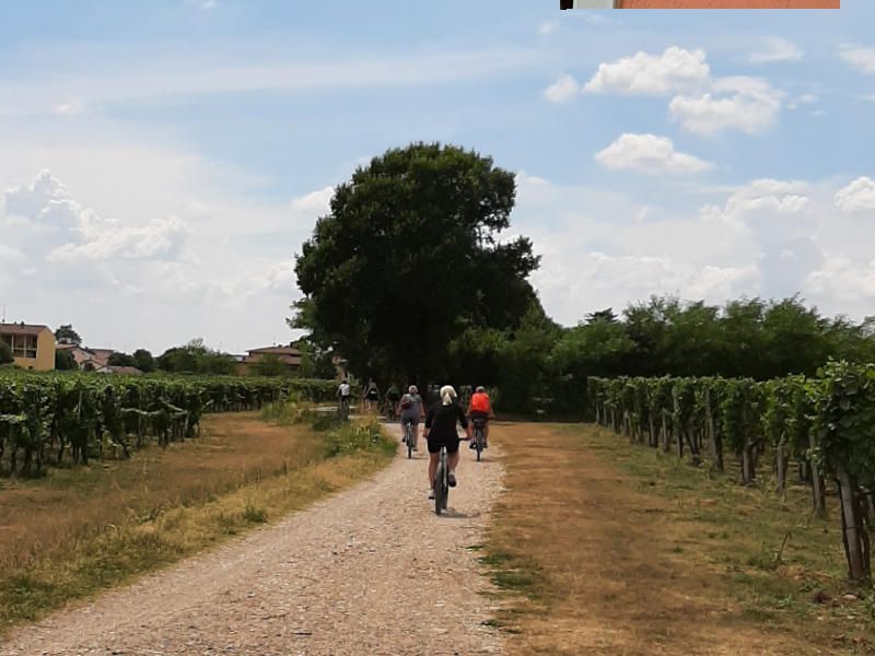 Weinprobe-Tour mit dem Fahrrad in den Weinbergen von Franciacorta