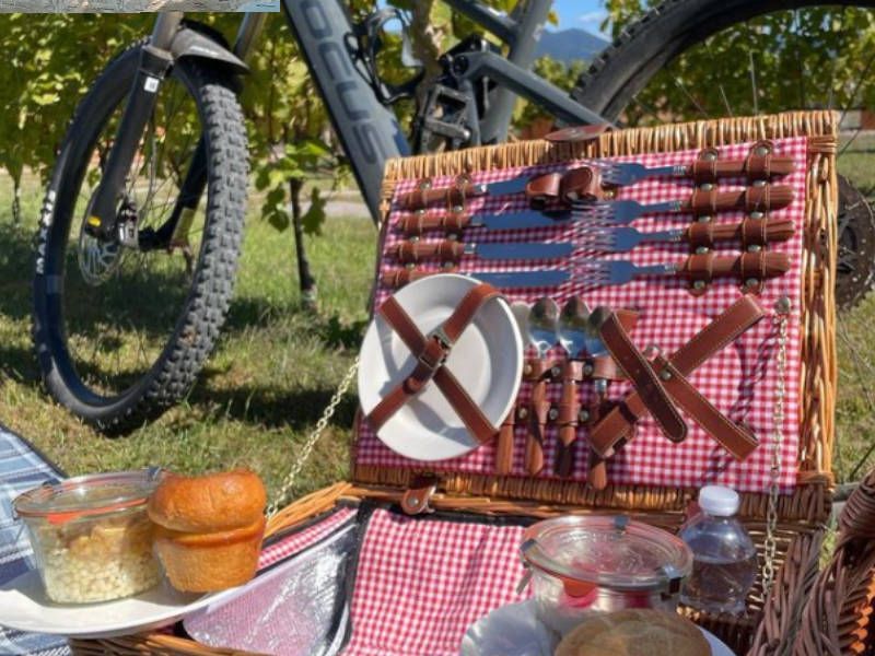 Wine tasting by bike with picnic lunch in the vineyards of Lombardy