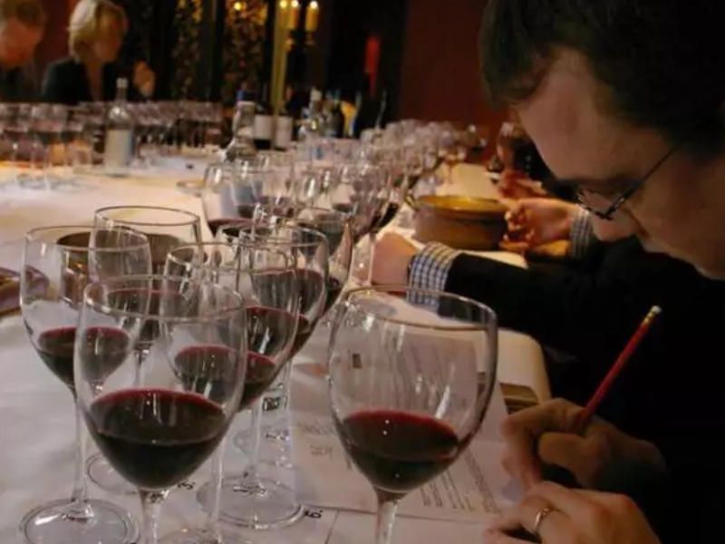 Individuell gestaltete private Weintour in Bolgheri