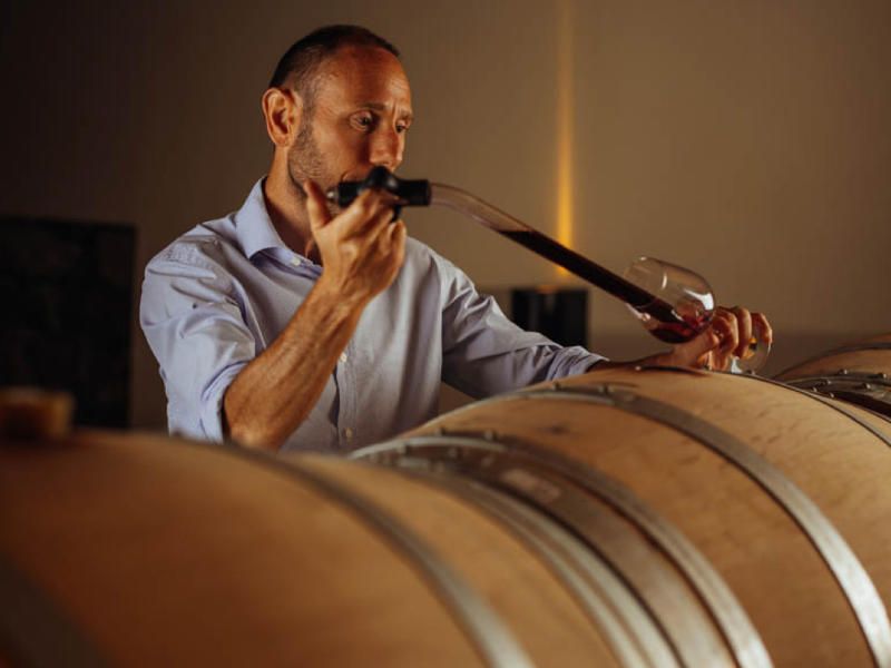 Bolgheri-Weinprobetour in Grattamacco