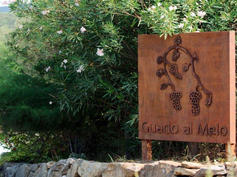 Weinprobe in Bolgheri bei Guado al Melo