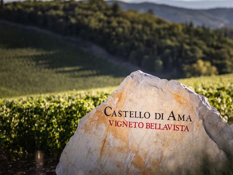 Italienische Weingüter - Castello di Ama