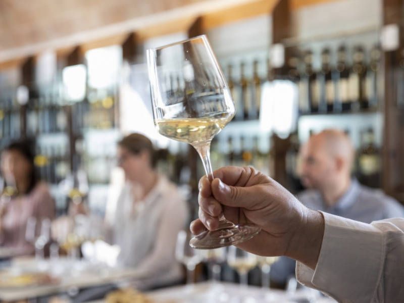 Meisterklasse-Weintour durch Vernaccia di San Gimignano