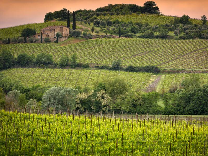Weinprobe bei einem Weingut in der Nähe von Montalcino