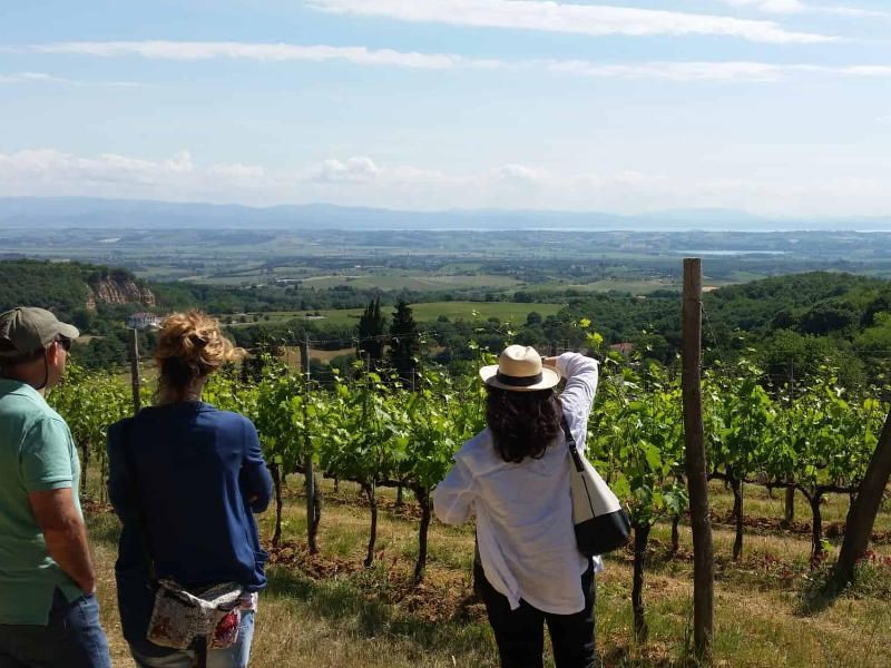Wein- und Käseverkostungstour in Montepulciano und Pienza