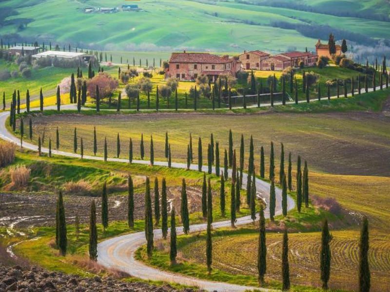 Weintour nach Montepulciano und ins Val d'Orcia ab Siena
