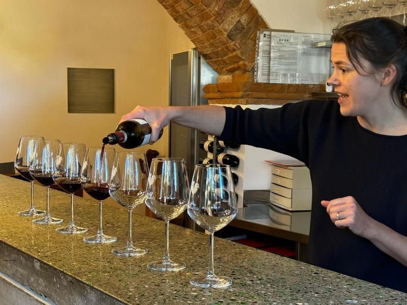 Elite Vino Nobile di Montepulciano-Weintour ab Florenz