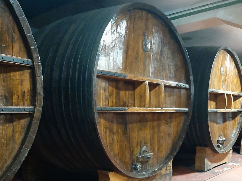 Weingut Sella e Mosca in Alghero (Sardinien)