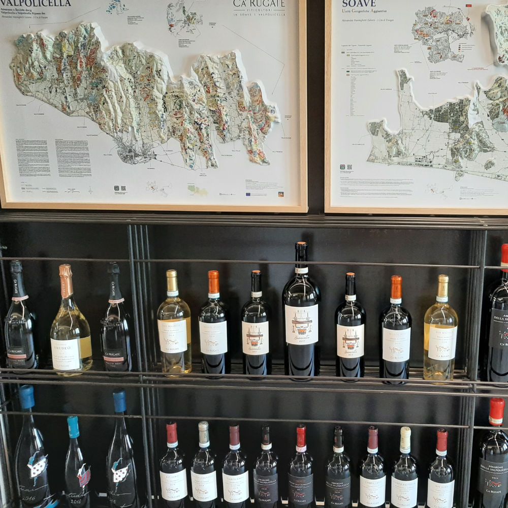 Soave- und Valpolicella-Weinprobe bei Ca Rugate