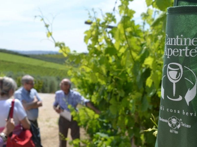 Strada del Vino DOC Castel del Monte in Puglia
