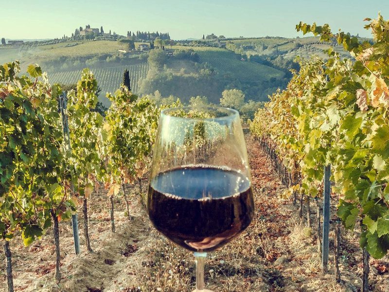Genießen Sie ein toskanisches Weinwochenende mit einer Brunello-Weingutbesichtigung.