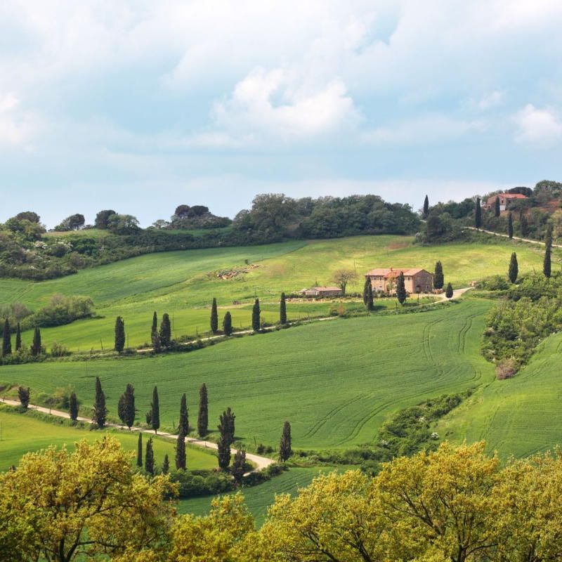 Wunderschöne und charakteristische Landschaften mit Blick auf die Weinberge im Val d'Orcia