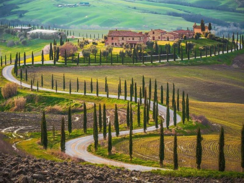 Weintour durch das Val d'Orcia ab Florenz