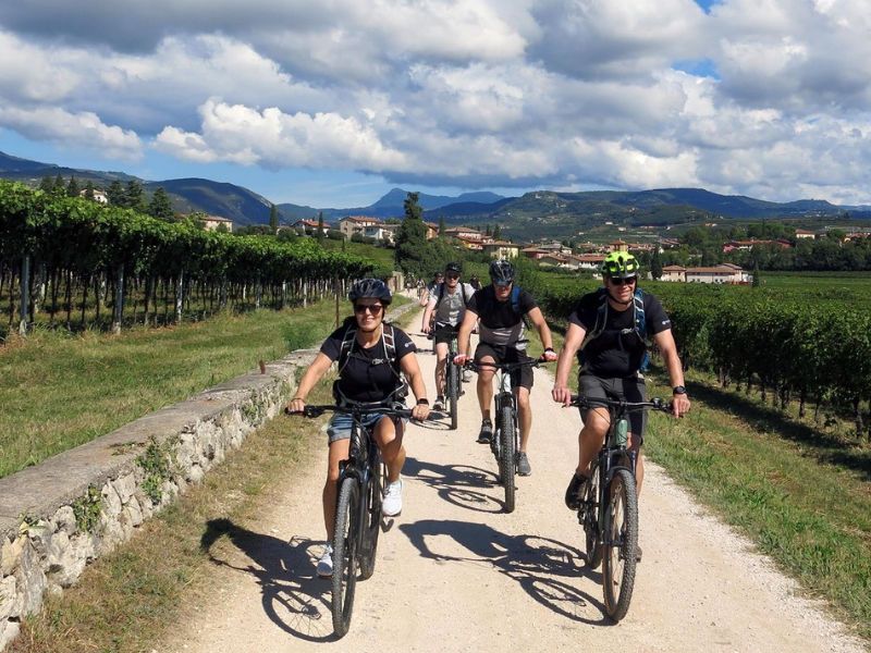 Itinera Wine & Bike