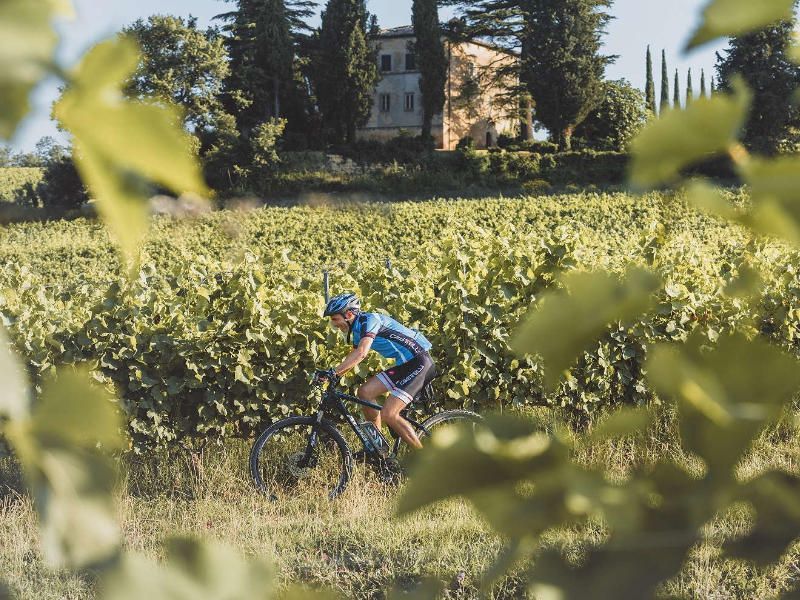 Radtour durch die Weinberge von Montepulciano mit Weinprobe ab Florenz