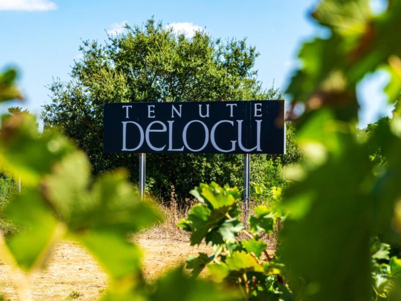 Übernachtung im Weingut-Resort Tenute Delogu in Alghero