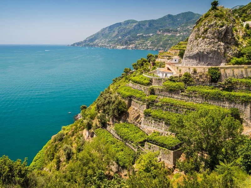 wine routes in the Campania wine region