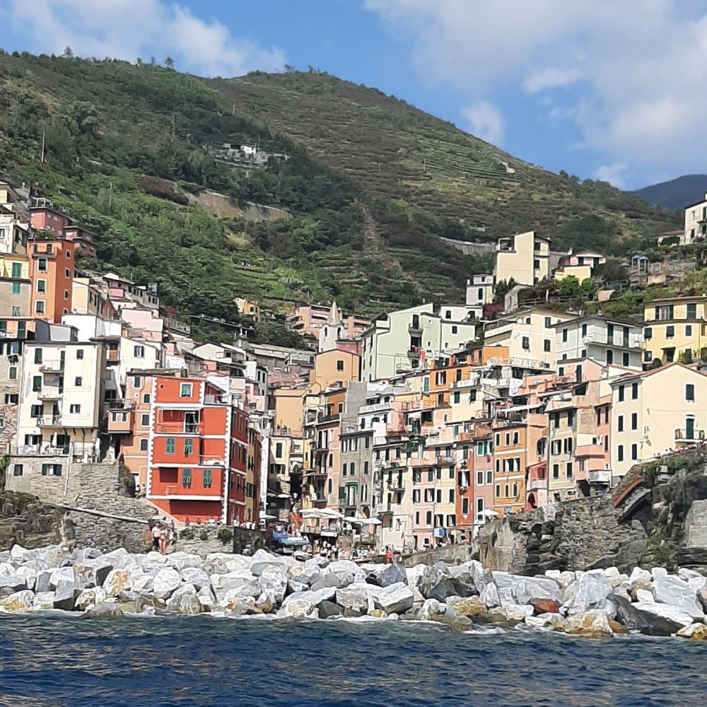 vineyards in Liguria near the Cinque Terre wine region