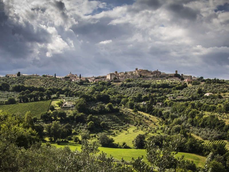 vineyards and wine routes near Montefalco in Umbria