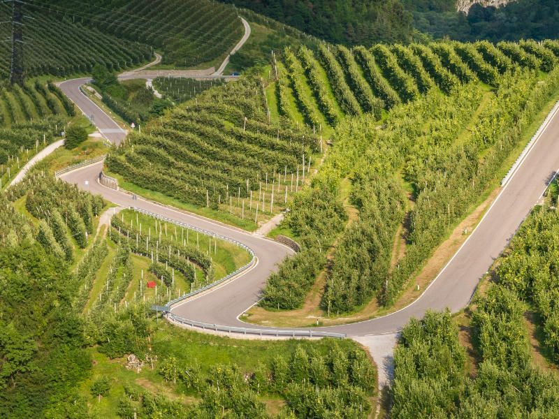 Entdecken Sie großartige Weine in der Weinregion Trentino - Südtirol (Alto-Adige)