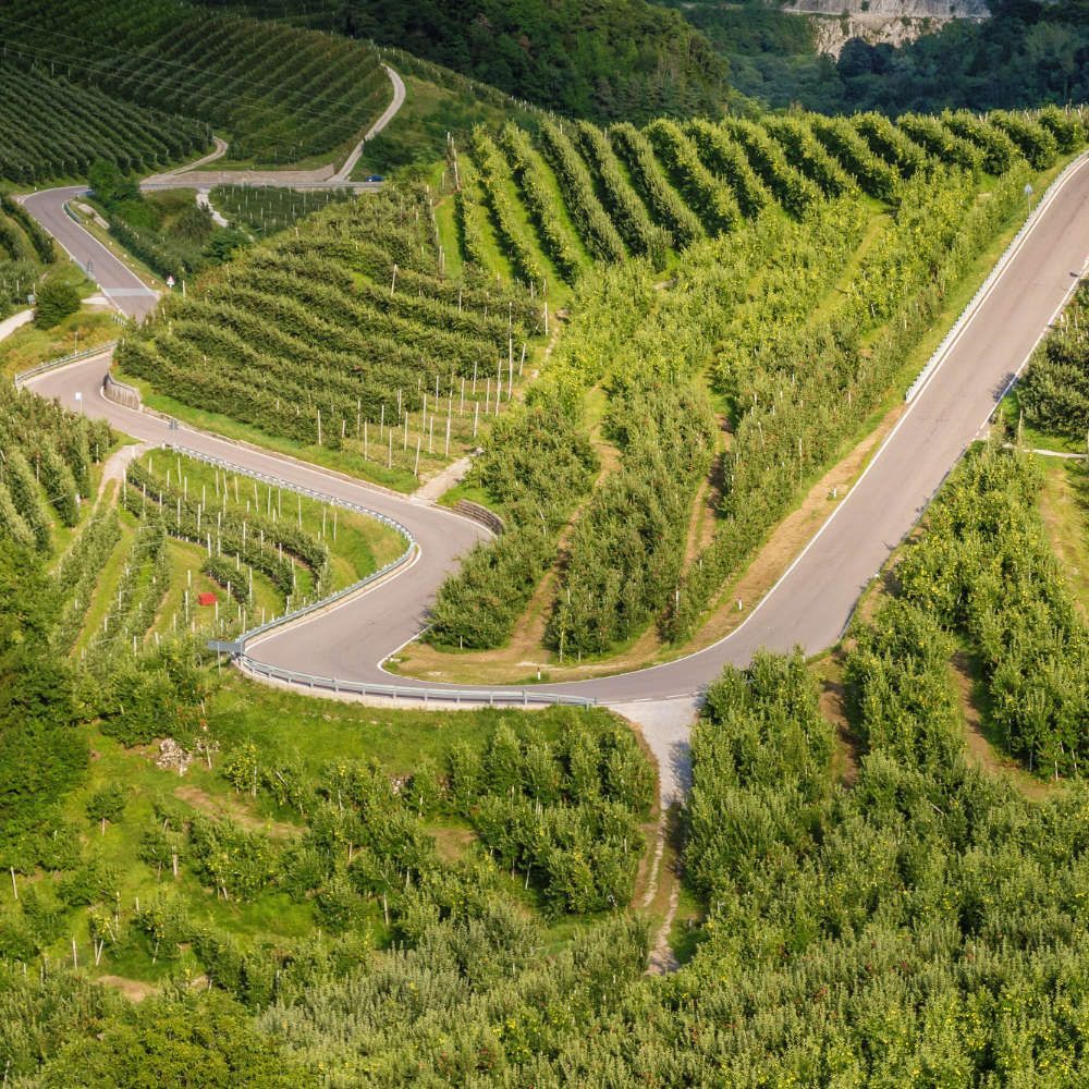 Weinregion Trentino-Südtirol