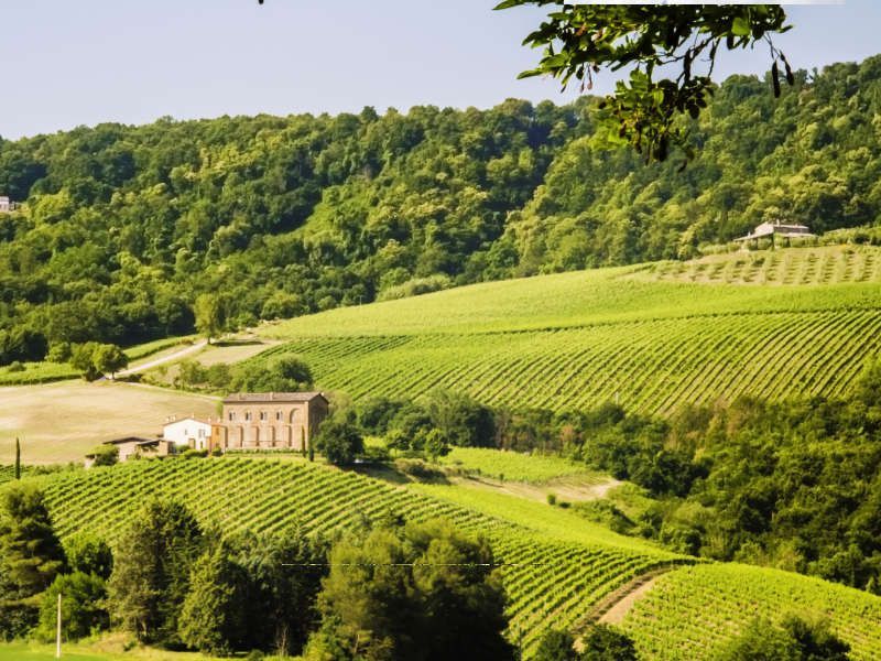 Erkundung der umbrischen Weinregionen