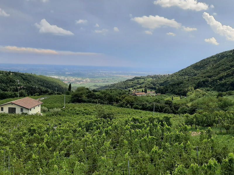 Weinregion Valpolicella