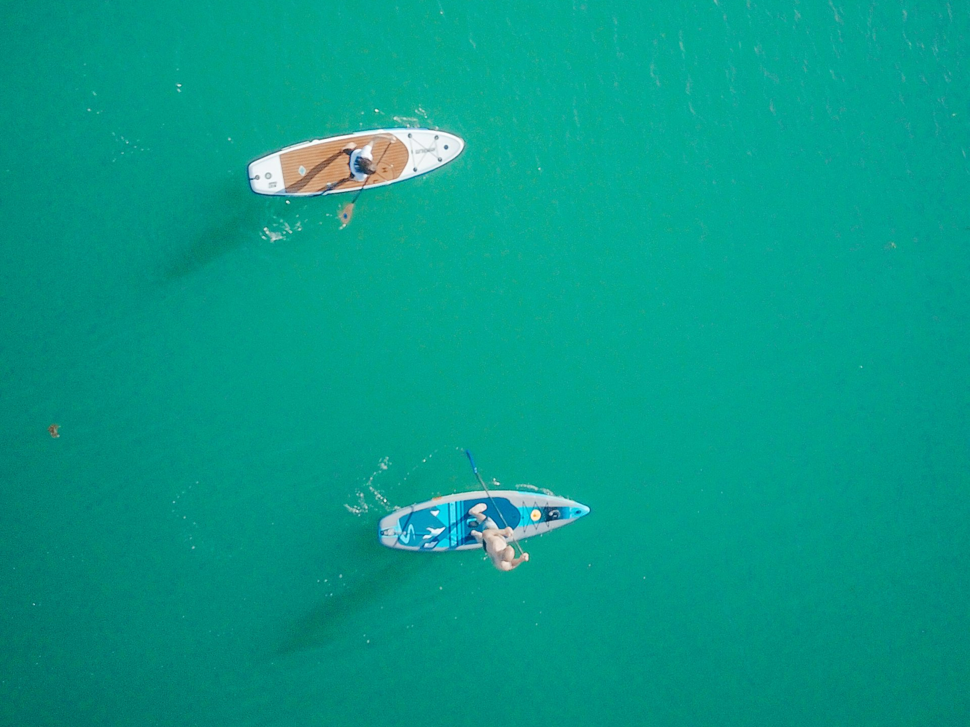 Feature-Foto: DomainFactory SUP fahren auf der Ostsee