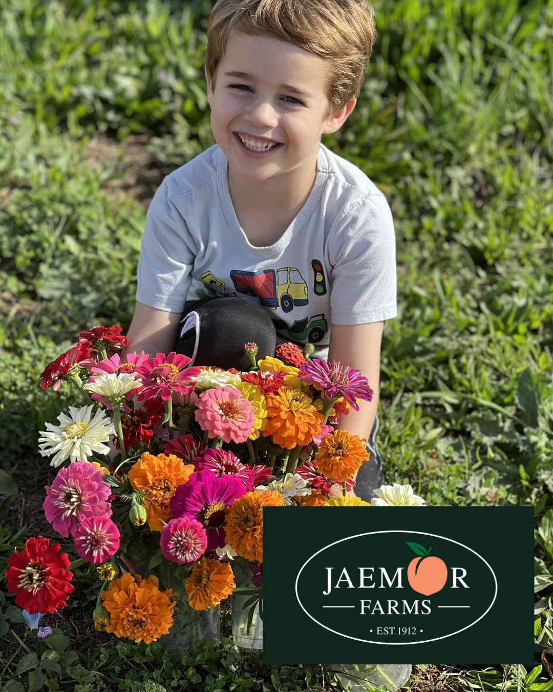 Young boy smiles, holding colorful zinnias in a field. Jaemor Farms logo present.
