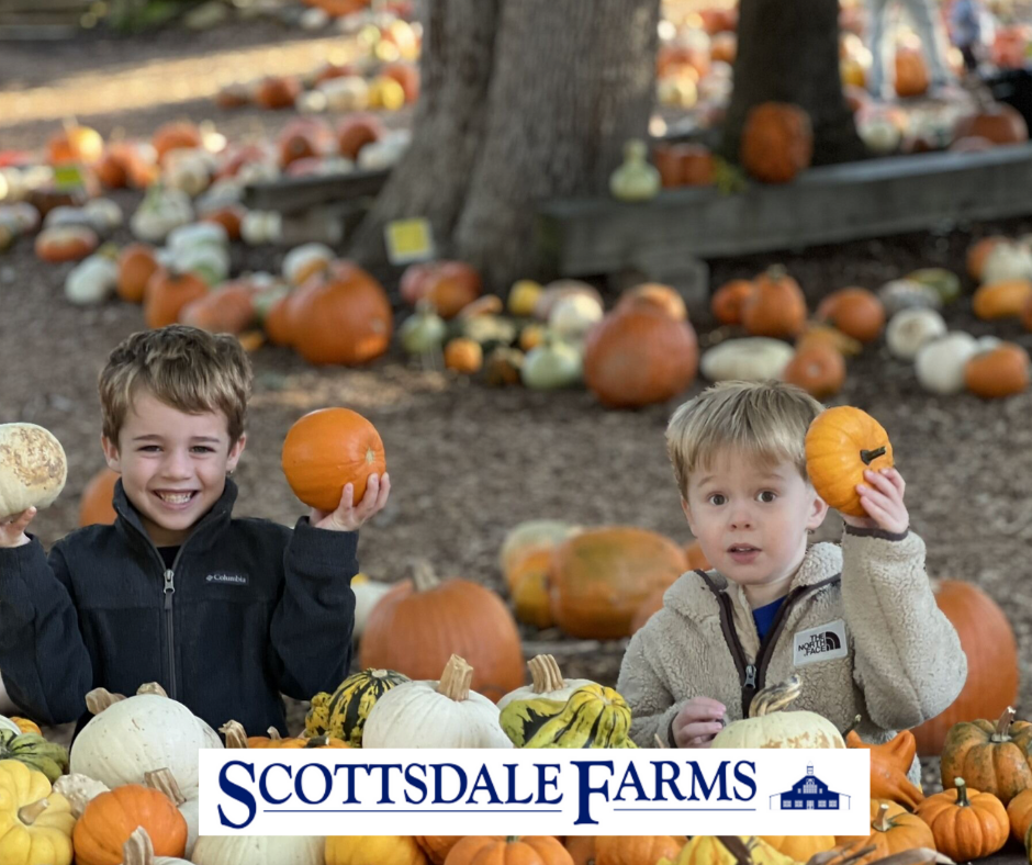 Two boys at Scottsdale Farms pumpkin patch holding pumpkins, surrounded by pumpkins of various sizes and colors.