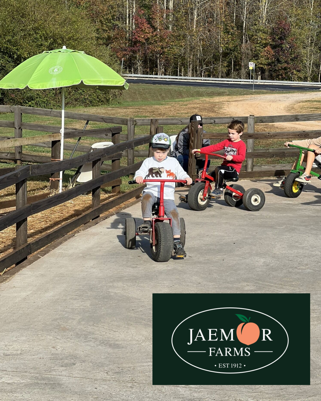 Children riding tricycles at Jaemor Farms, with a green umbrella, and a fence on a sunny day.