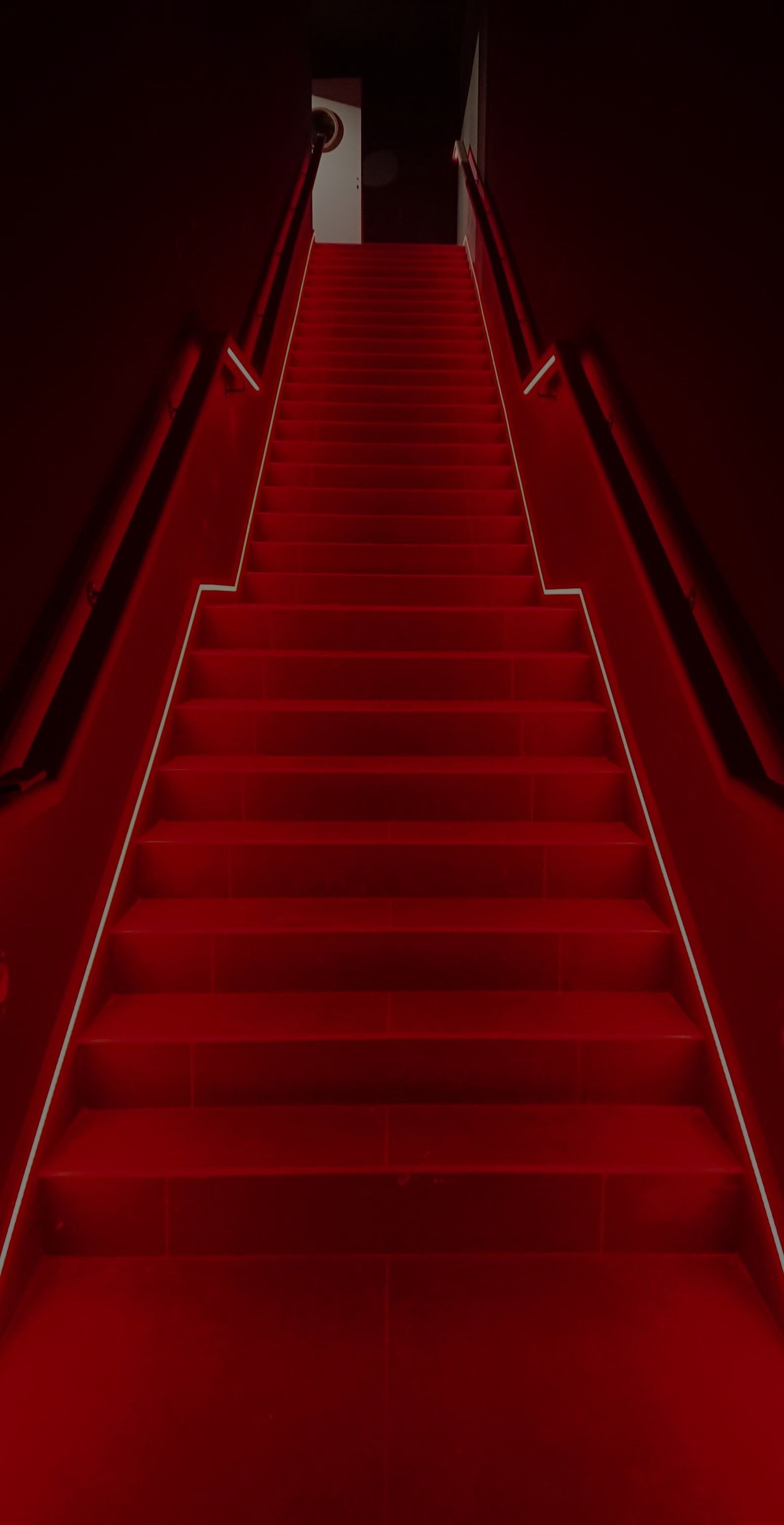 Il y a un tapis rouge dans les escaliers et un tapis rouge au sol.
