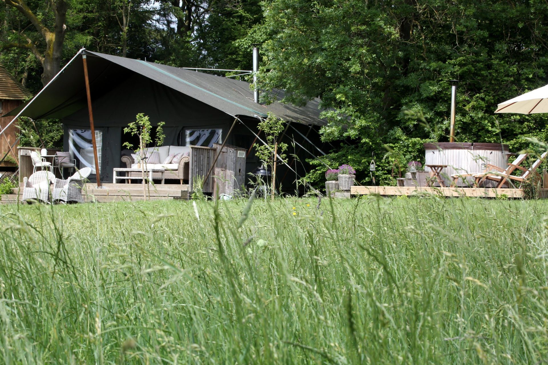 A Refreshing Retreat Amidst Nature's Canvas | The Dandelion Hideaway