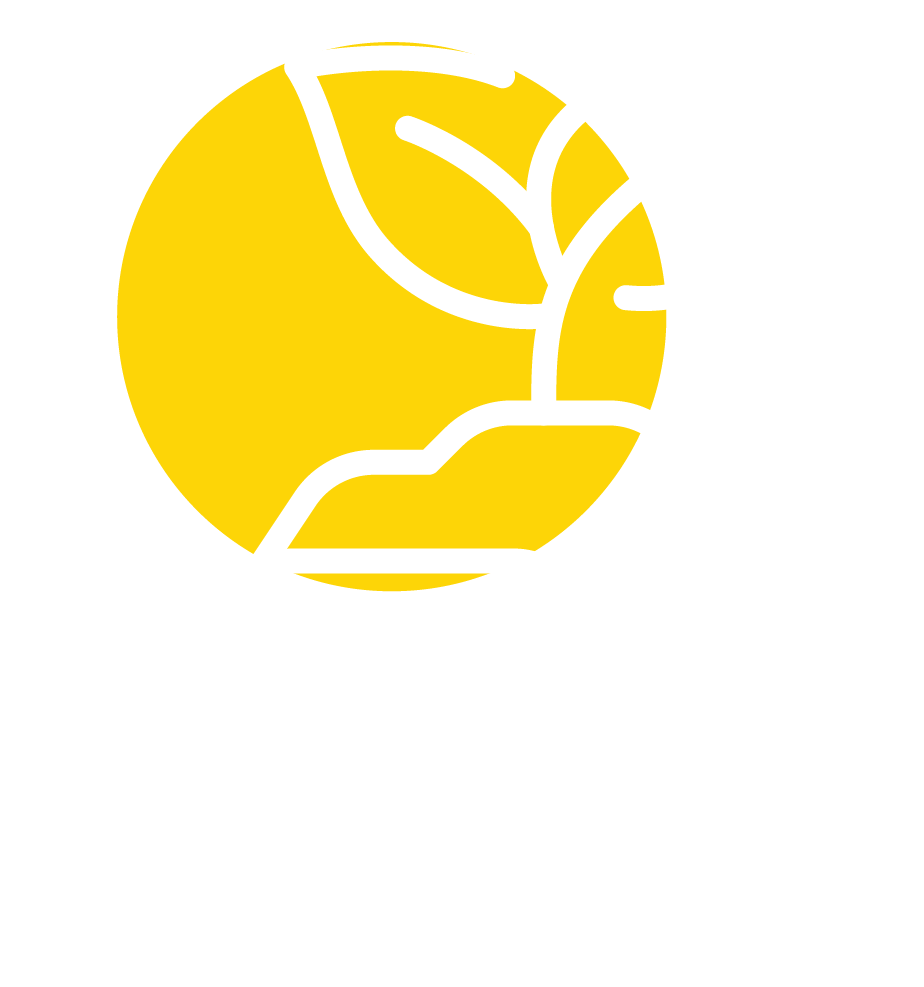 Yellow circle icon over a pale globe outline