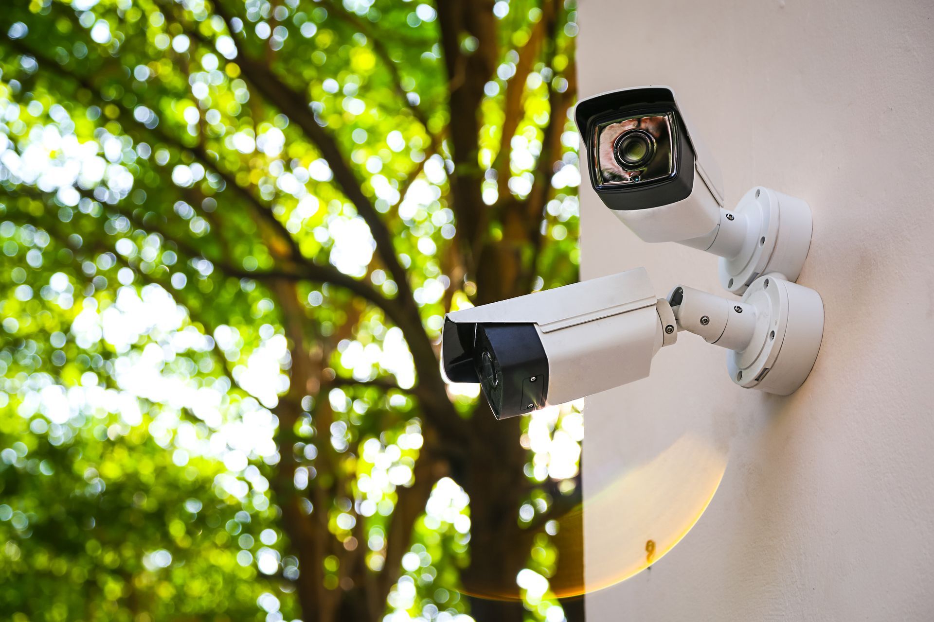 Two white security cameras mounted on a light-colored wall, with a blurred tree background. Two white security cameras mounted on a light-colored wall, with a blurred tree background.