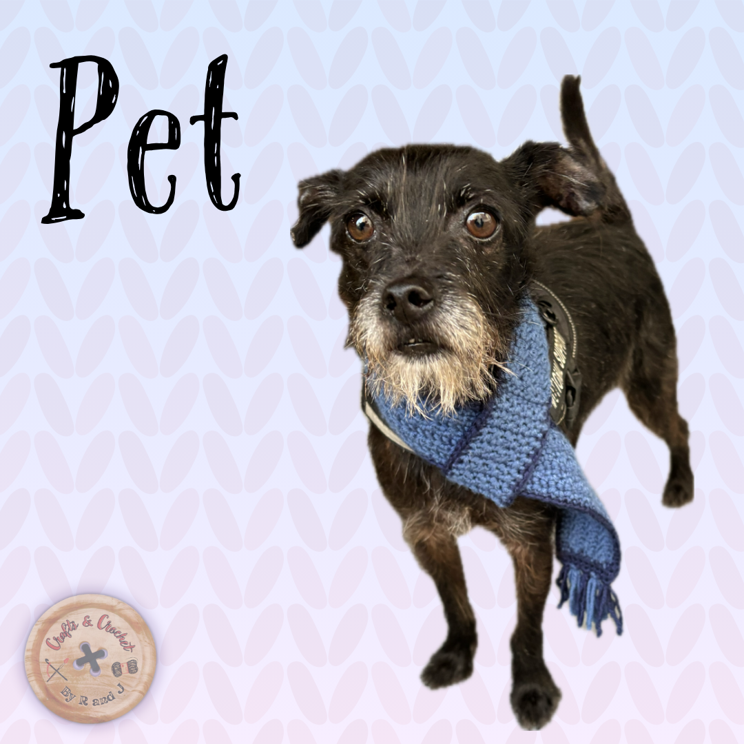 Pet Accessories