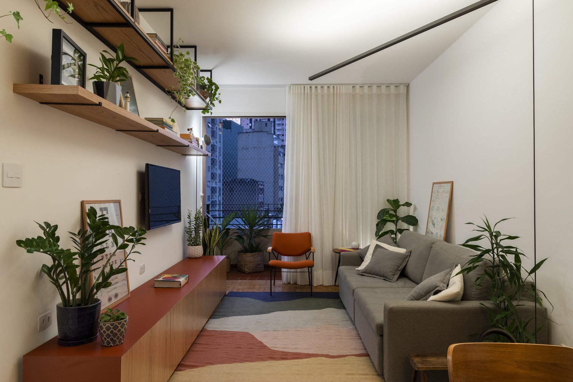 Uma sala com sofá, cadeira, televisão e plantas.