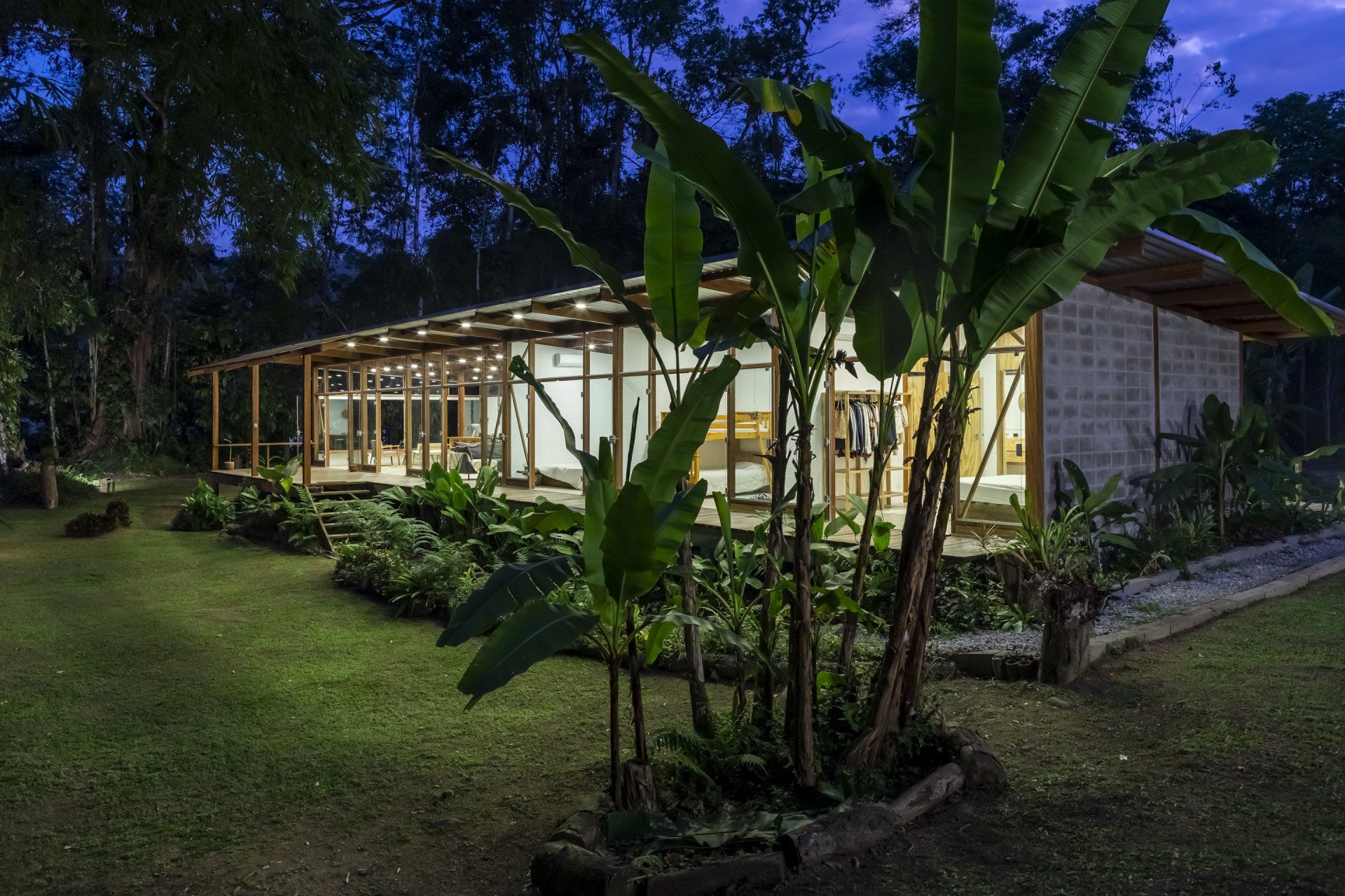 Uma casa é cercada por árvores e plantas à noite.