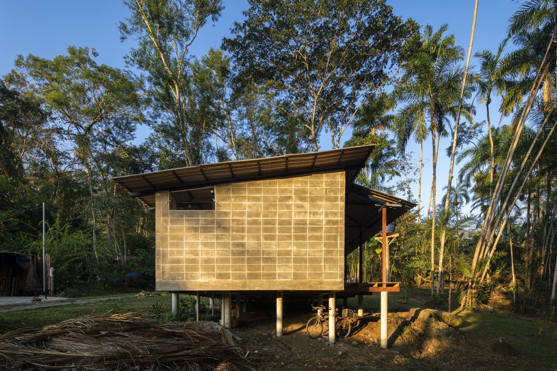 Uma pequena casa sobre palafitas no meio de uma floresta