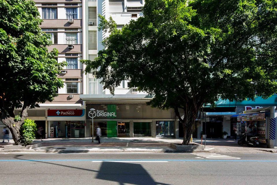 Uma árvore está no meio de uma rua em frente a um prédio
