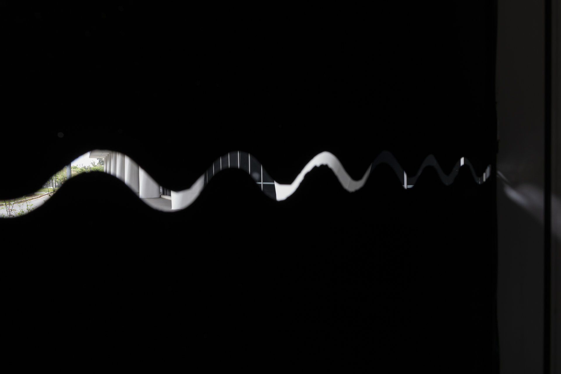 Uma imagem em preto e branco de uma cobra sobre um fundo preto.