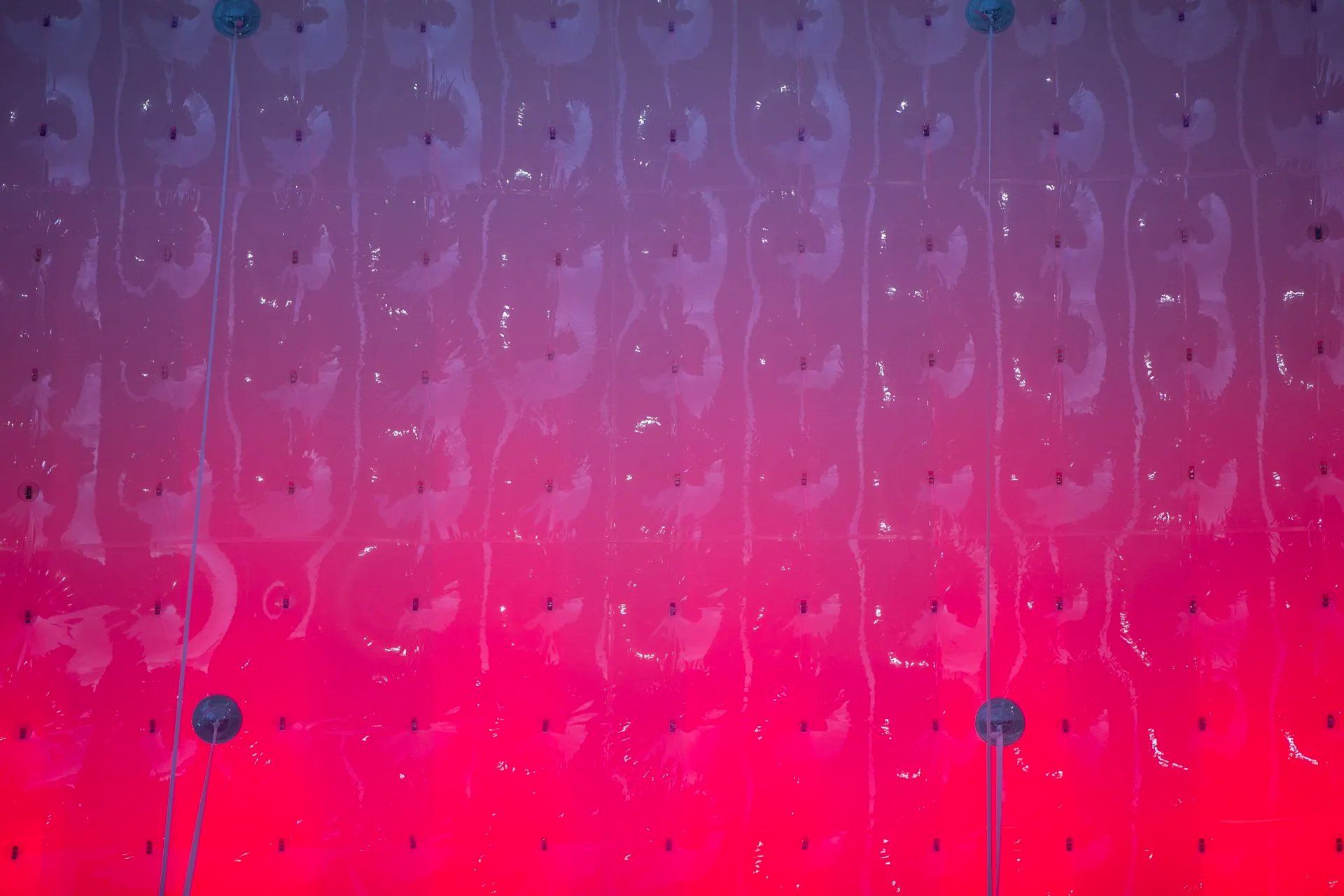 Um fundo rosa e roxo com um padrão de flores penduradas no teto.