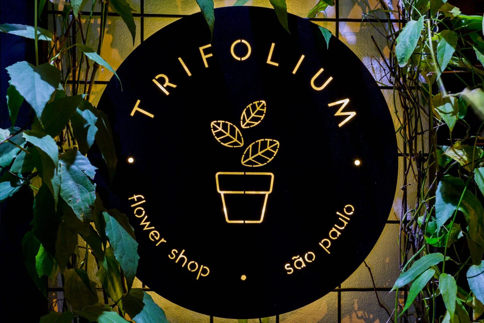 Placa para floricultura trifolium em são paulo