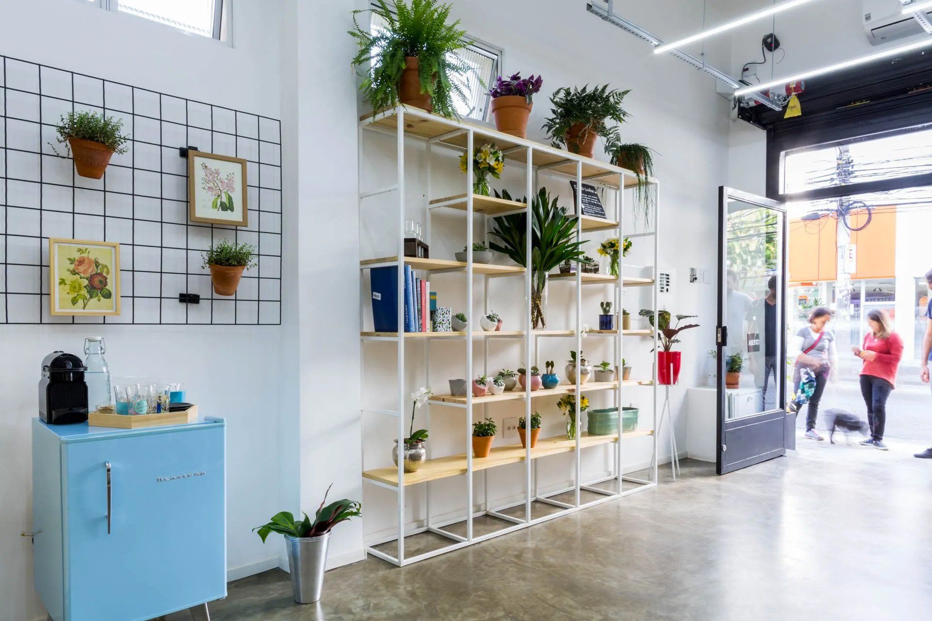 Uma sala com uma prateleira cheia de vasos de plantas e uma geladeira azul.