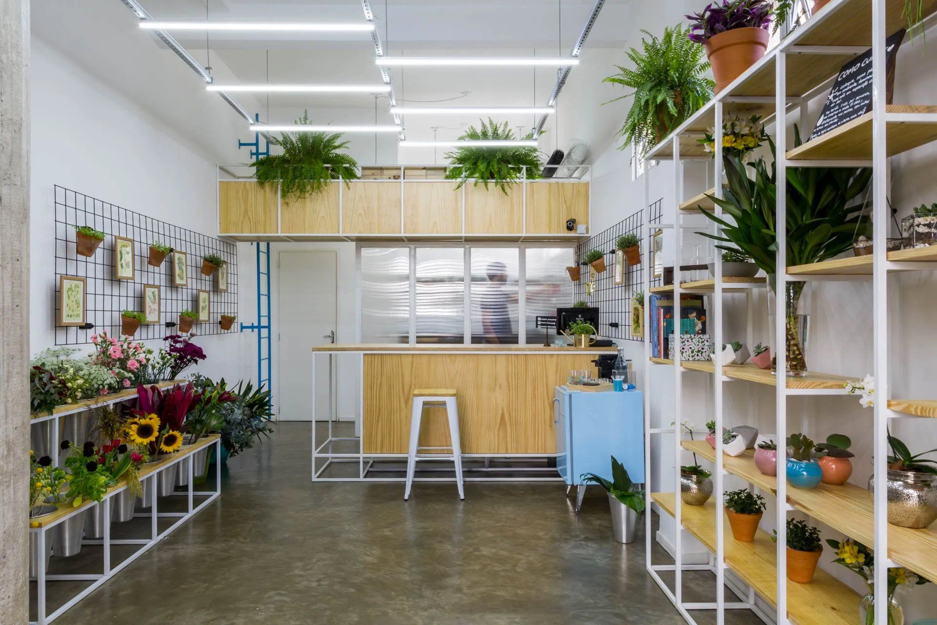 Uma floricultura com balcão e prateleiras repletas de vasos de plantas.